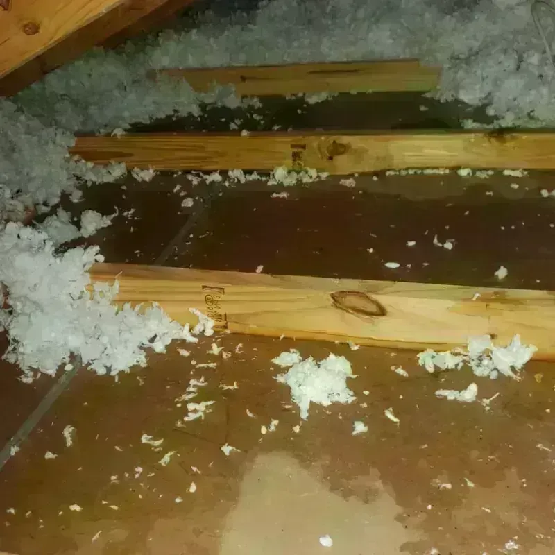 Attic Water Damage in Gnadenhutten, OH